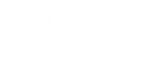 ENTSCOT_Course_Logos_0001_Saltire-Scholars.png