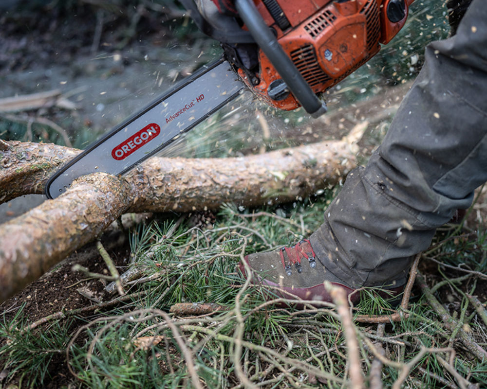 Tree Removal