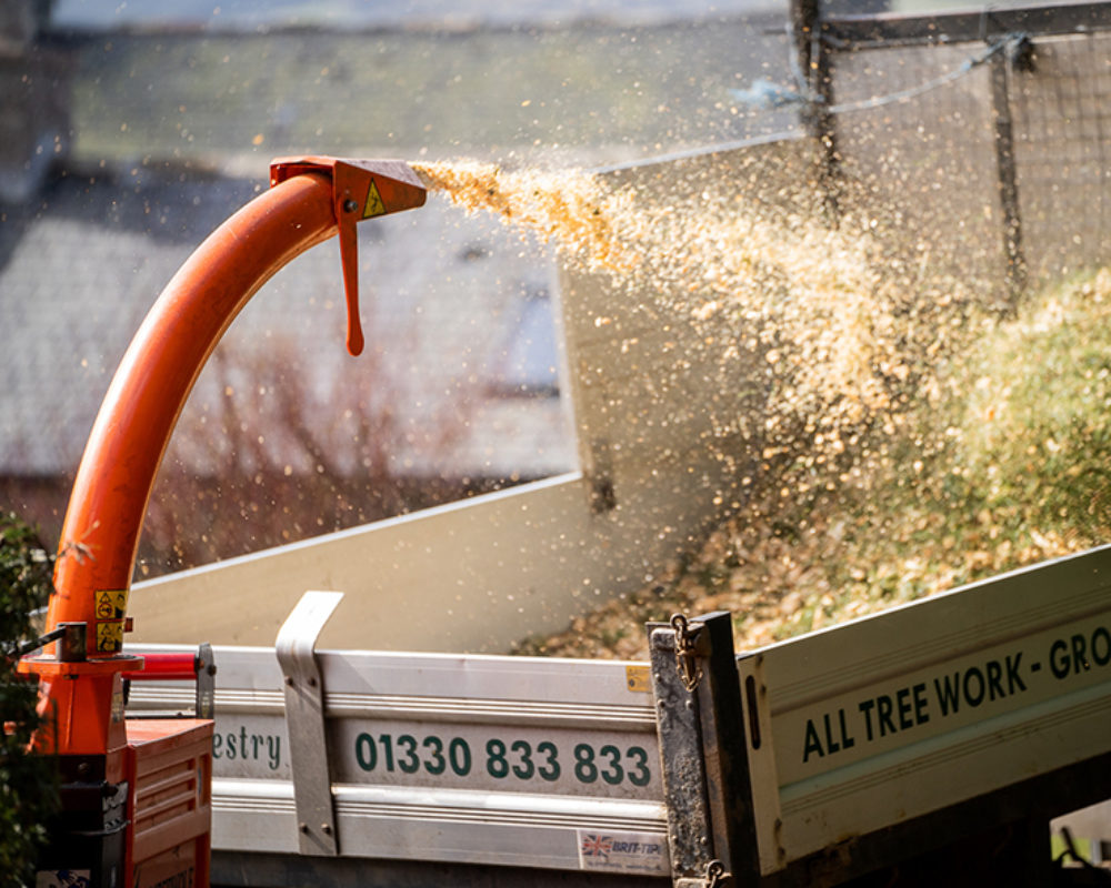 Chipping and Stump Grinding