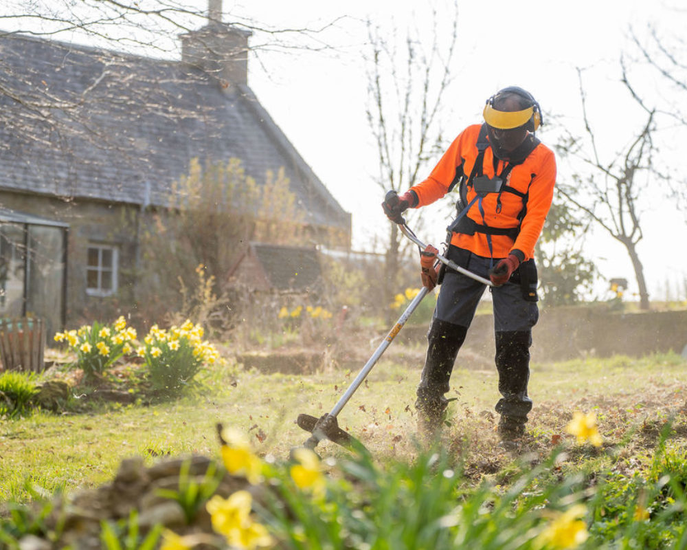 Domestic Garden Services