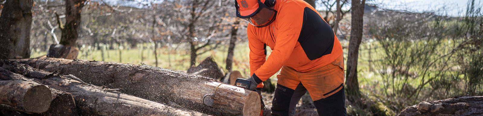 Future Forestry WEB 283 Site Clearance Domestic banner