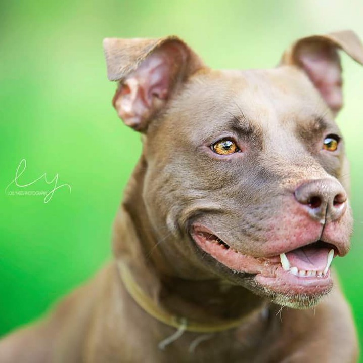 Delilah