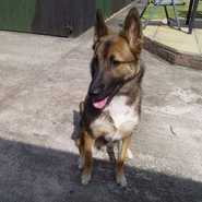 Duke
