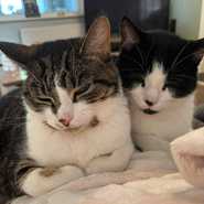 Tiddly and Winks