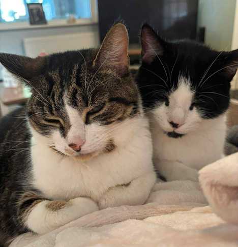 Tiddly and Winks