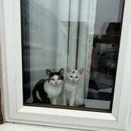 Mimi and GiGi
