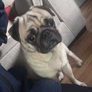 Gunther