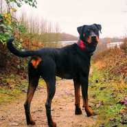 Ruby