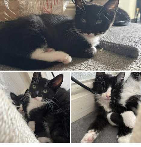 Batman, Robin and Alfred