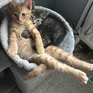 Dougie and Dante