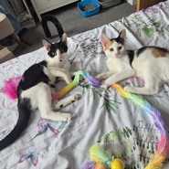 Pepper and Paprika