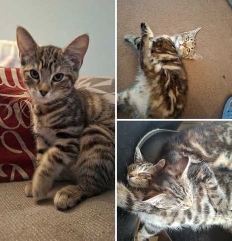 Maple and Margot