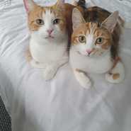 Dolly and Dora