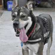 Max