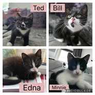 Bil and Ted