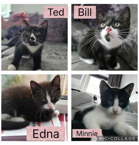 Bil and Ted