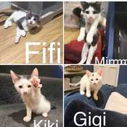 Kiki and GiGi