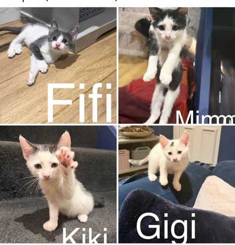 Kiki and GiGi