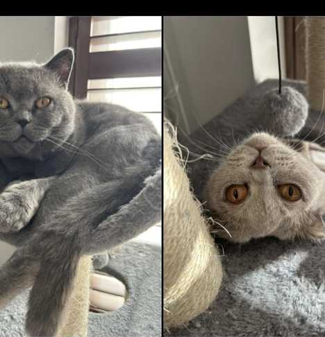 Bruce and Edith