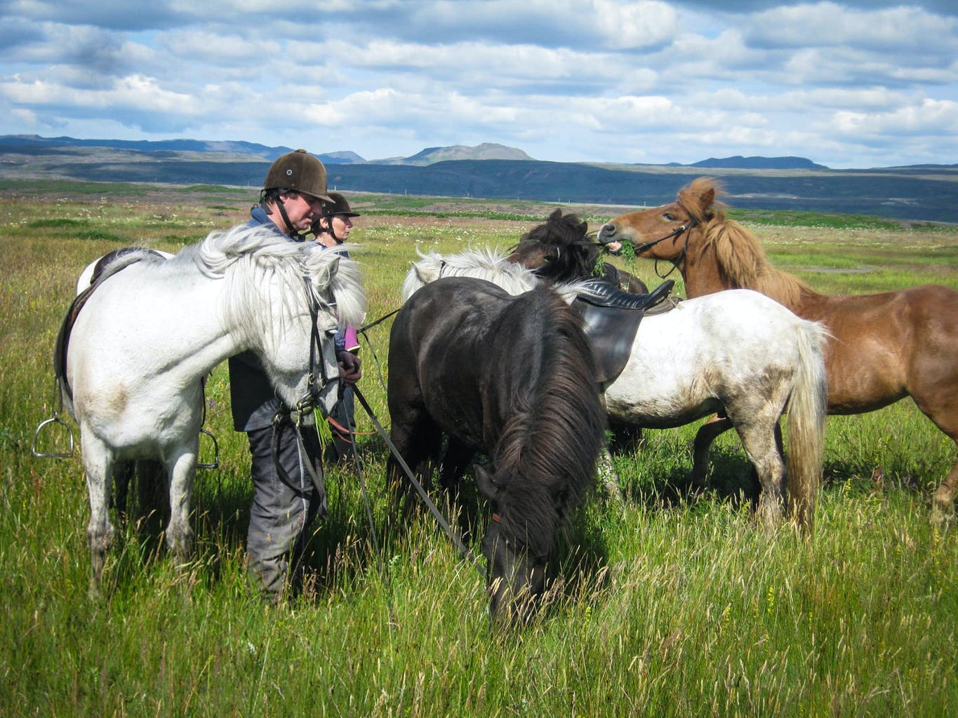 Forsíða Forsíða
