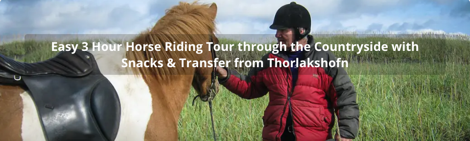 Easy 3 hours horse riding tour Easy 3 hours horse riding tour