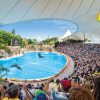 Twin Ticket (entrance to Loro Parque + Siam Park) with shuttle to Loro Parque - Image 3