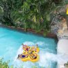 Twin Ticket (entrance to Loro Parque + Siam Park) with shuttle to Loro Parque - Image 7
