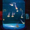 Twin Ticket (entrance to Loro Parque + Siam Park) with shuttle to Loro Parque - Image 8