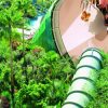Siam Park - ticket - Image 10