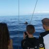 3-Hour Boat Trip from Costa Adeje in Tenerife - Image 10