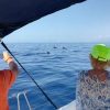 3-Hour Boat Trip from Costa Adeje in Tenerife - Image 12
