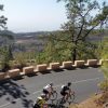 Road Cycling Tenerife - Teide - Image 2