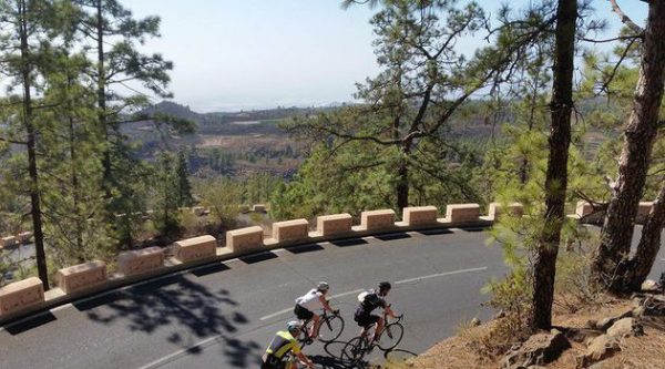 Road Cycling Tenerife - Teide - Image 2