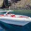 Luxury Opera 60 Whale & Dolphin Watching Experience - Image 2