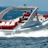 Luxury Opera 60 Whale & Dolphin Watching Experience - Image 3