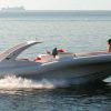 Luxury Opera 60 Whale & Dolphin Watching Experience - Image 4