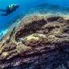 Advanced diving course in La Restinga - Image 4