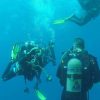 Advanced diving course in La Restinga - Image 6
