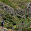 3-Hour Hiking Route at Roque Taborno in Tenerife - Image 2