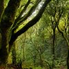 3-Hour Hiking Route at Roque Taborno in Tenerife - Image 8