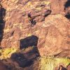 Gran Canaria: Canyoning - Image 12
