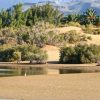 Panoramic E-Bike South Coast Tour + Fish Tapas Tasting: 4 Hours - Image 12