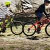 Rent a Mountain Bike 1 until 7 Days in Maspalomas : Visit Gran Canaria South - Image 2