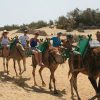 E-Scooter Tour & Camel Safari : Visit 3 Hours Maspalomas Dunes & Meloneras Beach - Image 4