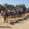 E-Scooter Tour & Camel Safari : Visit 3 Hours Maspalomas Dunes & Meloneras Beach - Image 5