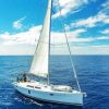 Whale and Dolphin Watching Yacht Trip in Puerto Colón