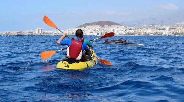 Tenerife: Kayaking, Snorkeling & Swimming with Dolphins and Watching - Image 3