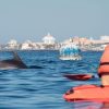 Tenerife: Kayaking, Snorkeling & Swimming with Dolphins and Watching - Image 4