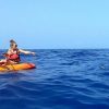 Tenerife: Kayaking, Snorkeling & Swimming with Dolphins and Watching - Image 7
