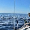 Tenerife: Premium Yacht Private Charter - Image 7